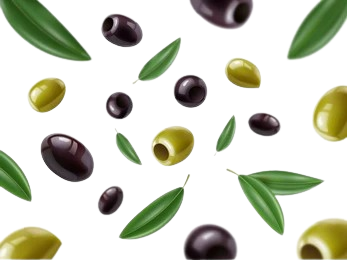 Olive Special