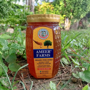 Acacia Small bee Honey 500GM