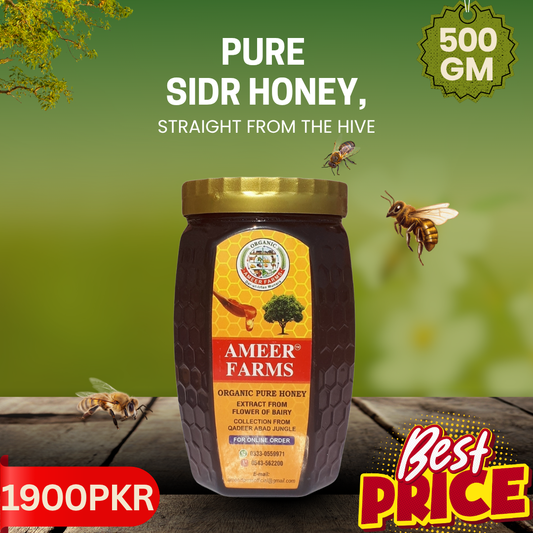 Sidr Small Bee Honey 500 gm